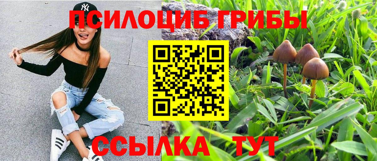 Шахты  Галлюциногенные грибы Magic Shrooms  Вход с VPN 